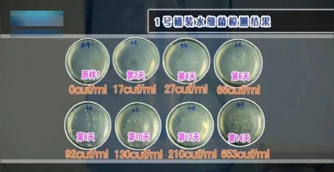 6种东西,没过保质期就“坏了”?赶紧看看,别拿全家健康开玩笑